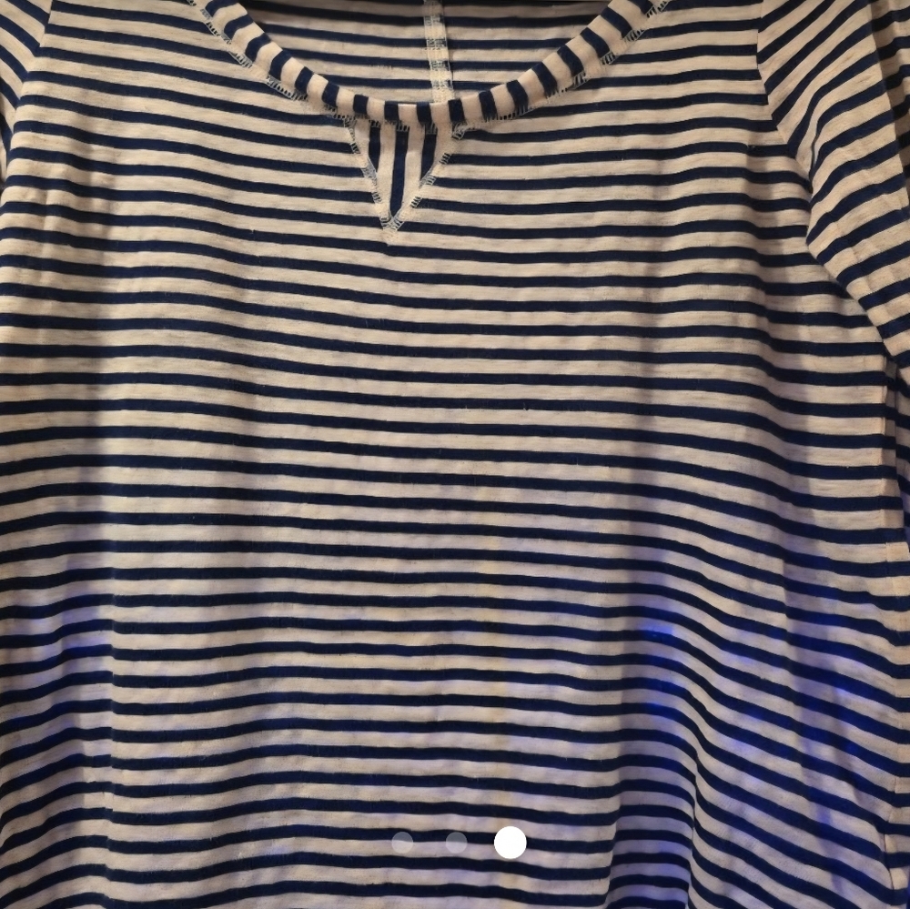 Banana Republic Navy and White Striped Shirt